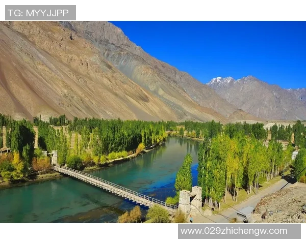 探索阿拉巴的魅力与历史：一段关于文化与自然的奇妙旅程